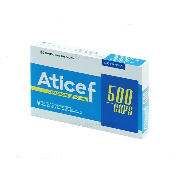 Aticef 500mg HG VĨ