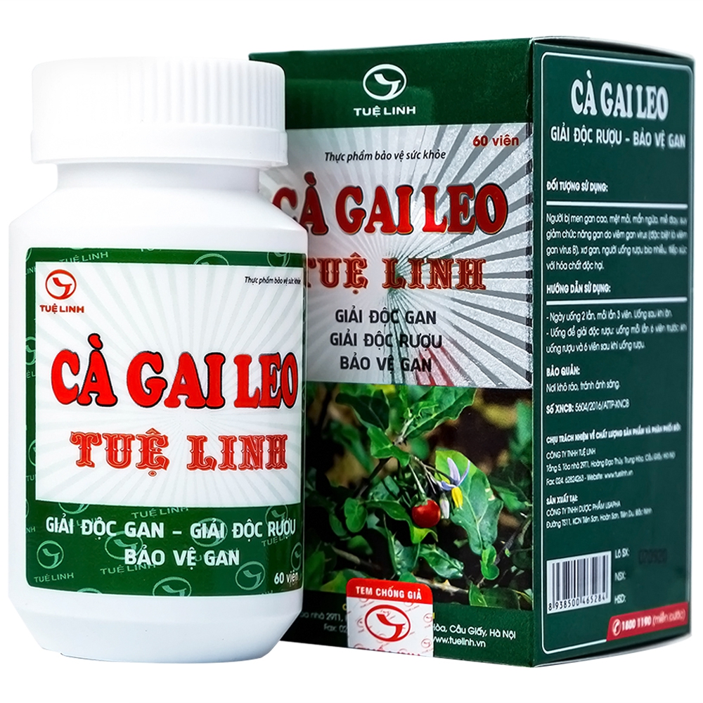 CÀ GAI LEO TUỆ LINH