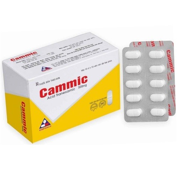 CAMMIC 500MG (VINPHACO)